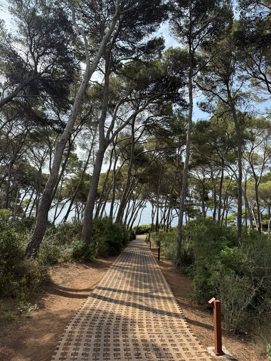 KtHUSTLES's tweet image. Morning walks hitting different here