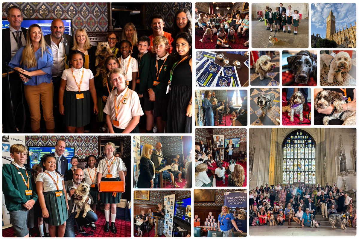APDAWG1's tweet image. Hugely inspiring & emotional stories shared in @UKParliament as @APDAWG1 proudly hosted the inaugural #UKSchoolDogOfTheYear Awards, in assoc. with #NationalSchoolDogAlliance. Congrats to winner Achilles, all finalists, plus thanks everyone who nominated their school dog! #APDAWG