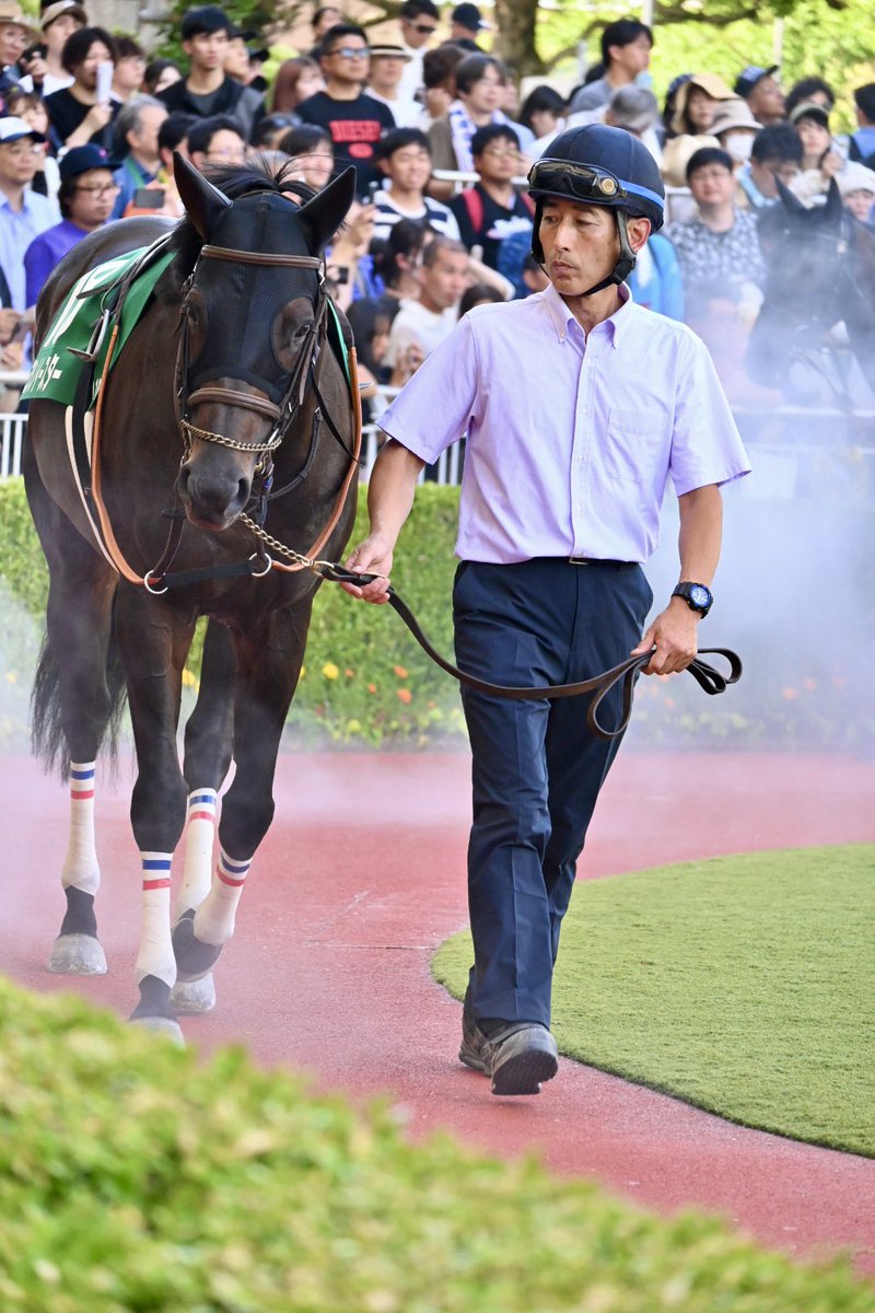 yoshino_rkcheck's tweet image. ヨシノイースター/内田博幸騎手
パドックでも堂々とした歩みで
大人の貫禄あって格好良かった☺️✨
レースは沢山の人で殆ど見えずに
隙間から何とか撮ったけどブレブレ💦
2着頑張ってくれて本当に嬉しかった😭
また何処かで応援行けたらいいな🥰