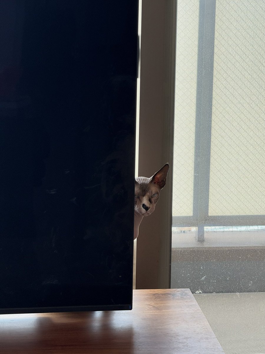 お風呂入れたから、
拗ねてます🐱❤️

拗ねても可愛い🤤へへ