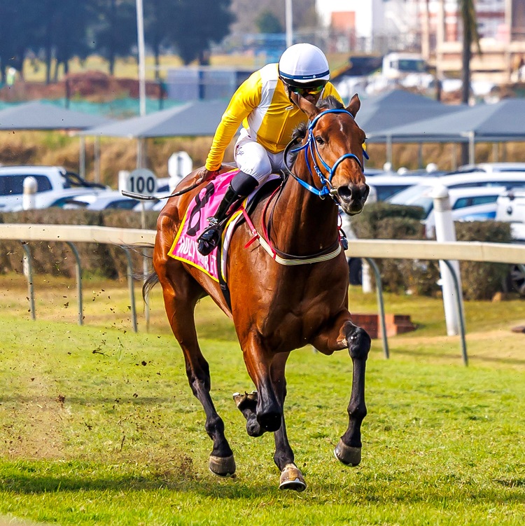 Turf Talk (@turftalk1) on Twitter photo Erik The Red Will Be Champion Freshman Sire turftalk.co.za/erik-the-red-w… Erik The Red Will Be Champion Freshman Sire turftalk.co.za/erik-the-red-w…