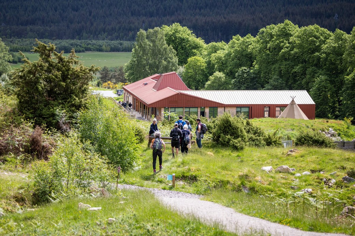 treesforlifeuk's tweet image. From place-names to path names, stories to songs, centuries of Gaelic culture are woven into the hills and forests of Glenmoriston. 🌲
The Gaelic word dùthchas captures it all: belonging, responsibility, and a deep-rooted connection to nature. As we restore Scotland’s wild…