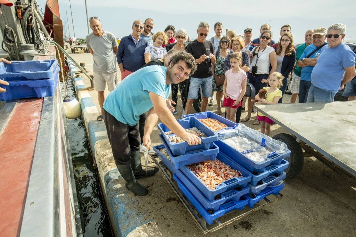 La tradició pesquera a la Badia de Roses 🦐

Visites guiades a @visitroses 

#Roses #portderoses #badiaderoses #altemporda #empordaturisme #Catalunya #costabrava