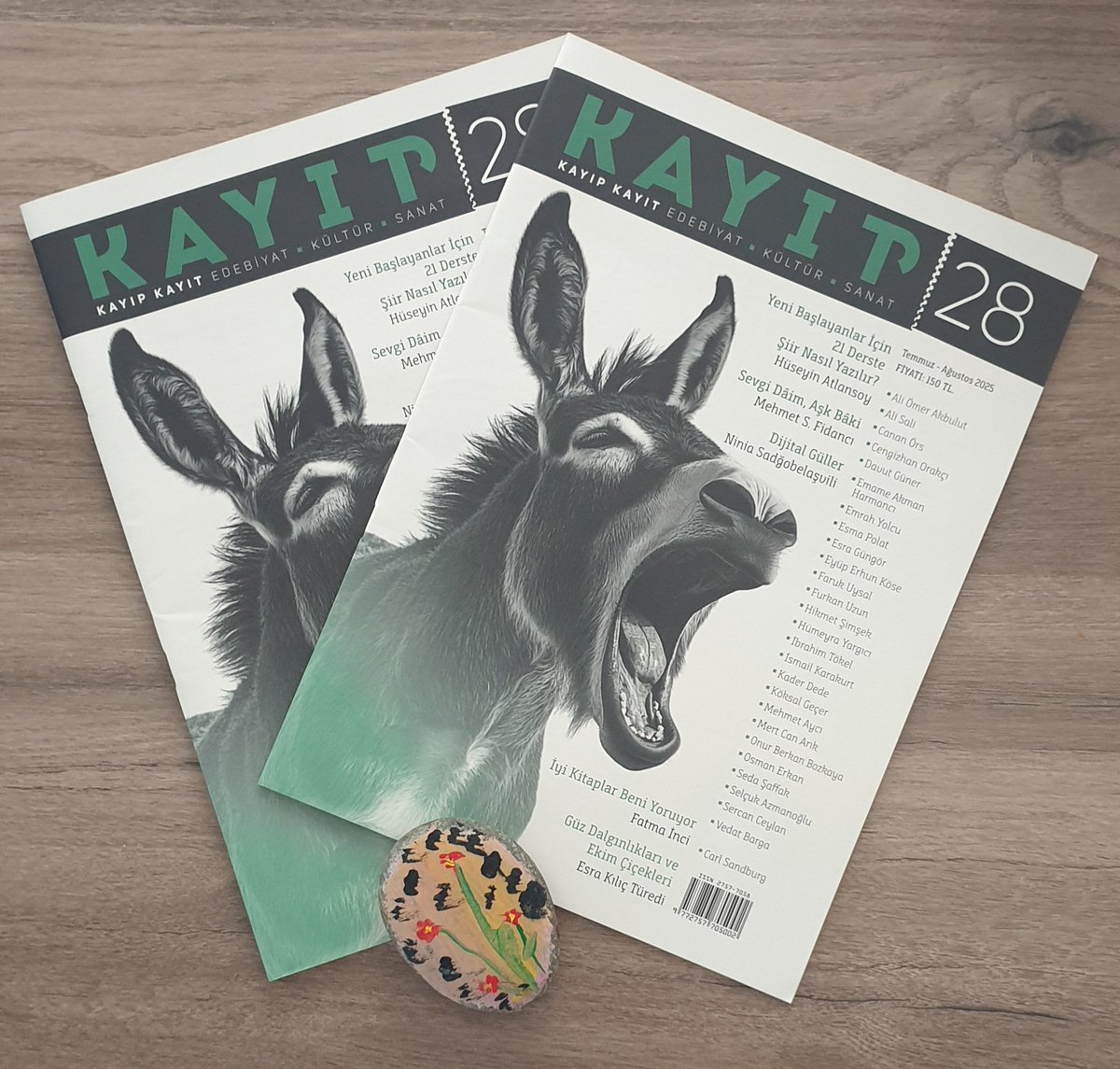 Kayıp Kayıt 28'ledi. Yine iyi. Kapak tasarımı ve zengin içeriğiyle. 

Bu kez, "Tüy Dolu Pençe" dedim.