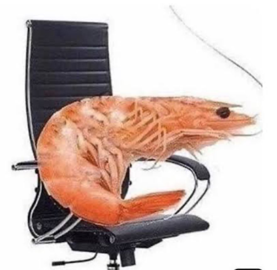 snehghuman00's tweet photo. Me - Grinding @anoma Discord Server and having a back pain
Also me -
#anomayapping #shrimp https://t.co/YHdFWccD3i