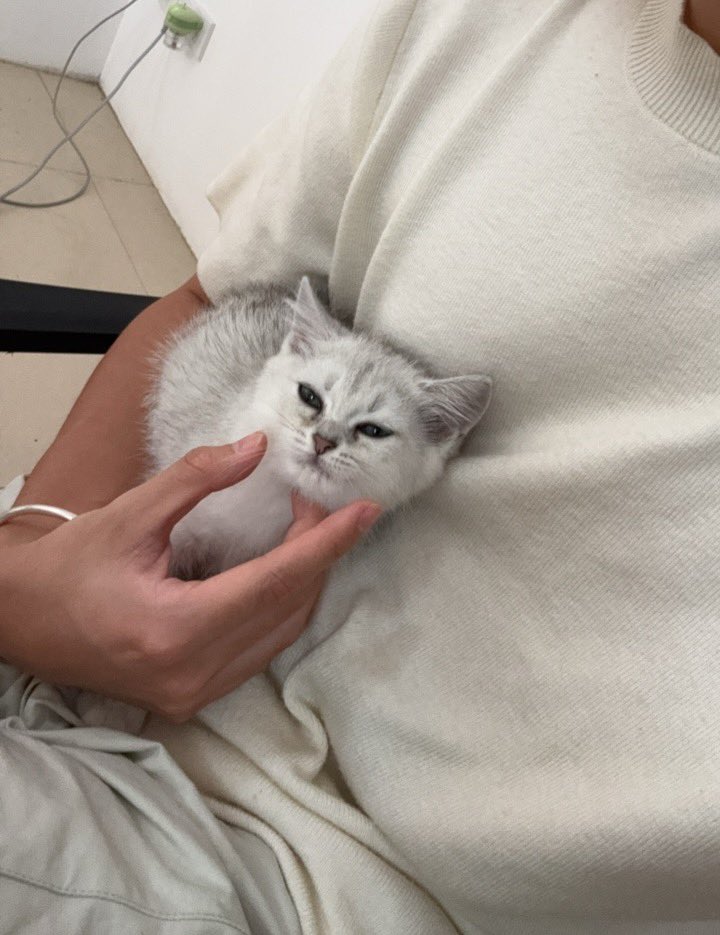 上班搭子你你你你在干嘛