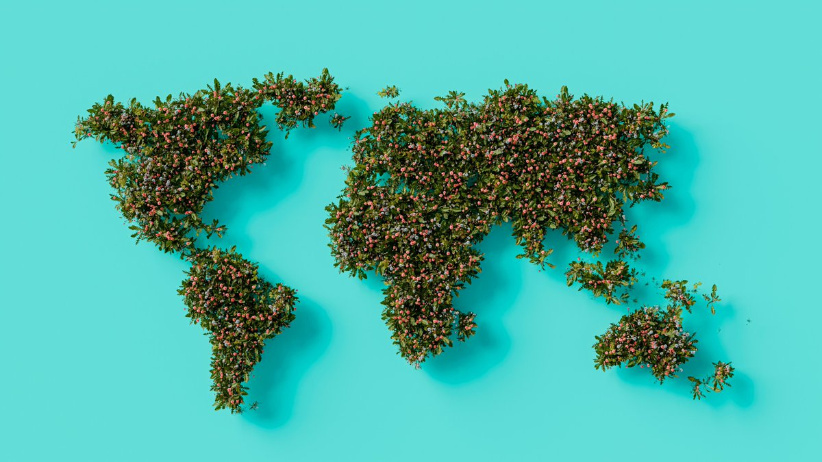 The #WorldPopulationDay call is clear: Empower young people to build the families they want.

At #Countdownto2030, we’re tracking progress in Reproductive, Maternal, Newborn, Child, &amp; Adolescent Health &amp; Nutrition &amp; driving evidence-led change.

🔗 buff.ly/JxEEujq

<a href="/aphrc/">APHRC</a>