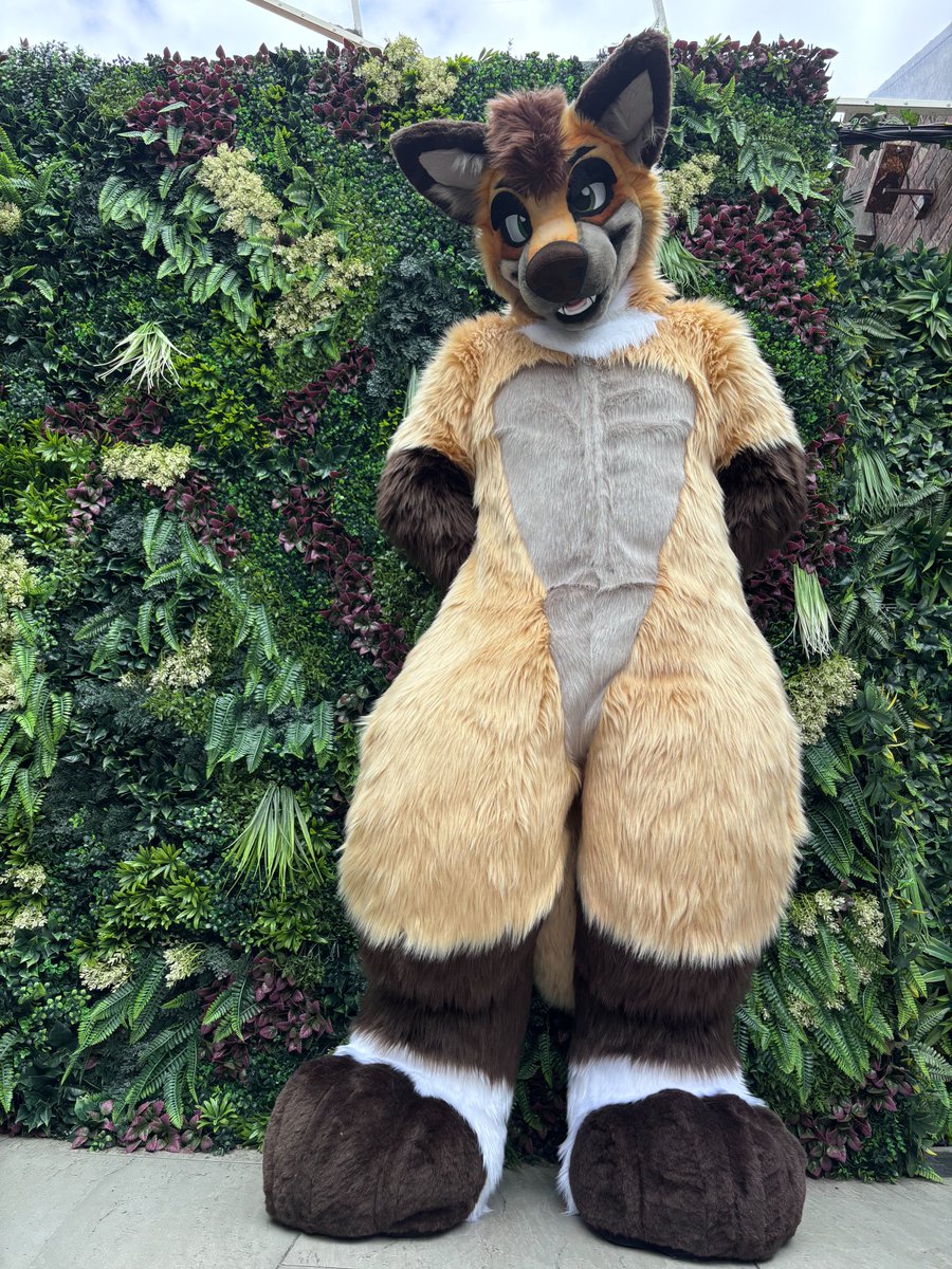 Oh hey, didn't see you there 👀

📸 <a href="/MurdockFox87/">Murdock</a> 
🪡 <a href="/JawsNpawsUK/">JawsandPaws_UK</a> 

#FursuitFriday #fursuit
