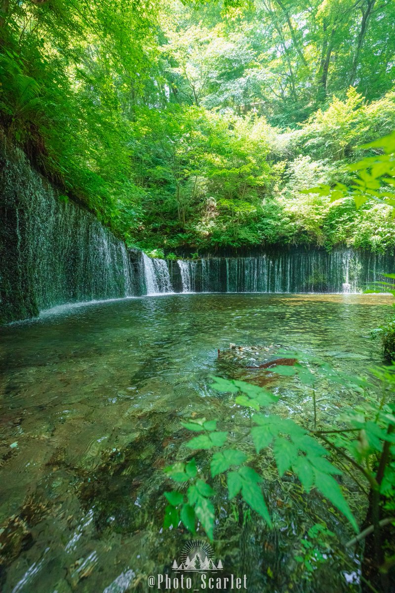 緑色に染まる軽井沢の滝が素敵でした
