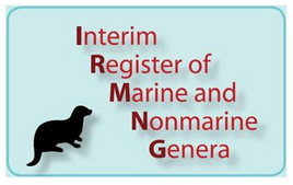 WoRMS (@wrmarinespecies) on Twitter photo Jul 2025 version of the Interim Register of Marine and Non-marine Genera (IRMNG) released for download: 515,601 genus names (+6,7k new) irmng.org/download.php <a href="/LifeWatchVLIZ/">LifeWatch VLIZ</a> <a href="/tonyrees49/">Tony Rees</a> <a href="/UNOceanDecade/">UN Ocean Decade</a> #marinespecies Jul 2025 version of the Interim Register of Marine and Non-marine Genera (IRMNG) released for download: 515,601 genus names (+6,7k new) irmng.org/download.php <a href="/LifeWatchVLIZ/">LifeWatch VLIZ</a> <a href="/tonyrees49/">Tony Rees</a> <a href="/UNOceanDecade/">UN Ocean Decade</a> #marinespecies