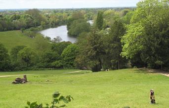 VisitRichmond (@visit_richmond1) on Twitter photo This #weekend is packed with fun! Live <a href="/ExchangeTwick/">Exchange Twickenham</a> Join us for the #Free Tree Tour at <a href="/EHMarbleHill/">Marble Hill</a> explore the Barnes Fair <a href="/BCA4Barnes/">Barnes Community Association</a> and take a stroll on the Richmond Hill History Walk <a href="/richmondwalks/">Richmond Walks</a> Don't miss out! shorturl.at/Upqgk <a href="/RCVS_Richmond/">RichmondCVS</a> <a href="/RichmondNubNews/">Richmond Nub News</a> This #weekend is packed with fun! Live <a href="/ExchangeTwick/">Exchange Twickenham</a> Join us for the #Free Tree Tour at <a href="/EHMarbleHill/">Marble Hill</a> explore the Barnes Fair <a href="/BCA4Barnes/">Barnes Community Association</a> and take a stroll on the Richmond Hill History Walk <a href="/richmondwalks/">Richmond Walks</a> Don't miss out! shorturl.at/Upqgk <a href="/RCVS_Richmond/">RichmondCVS</a> <a href="/RichmondNubNews/">Richmond Nub News</a>