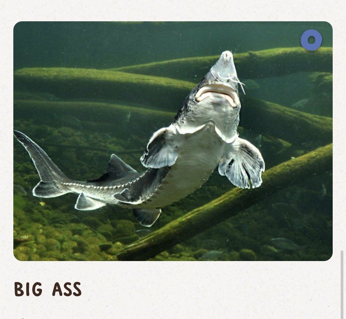 gaylorbones's tweet image. 