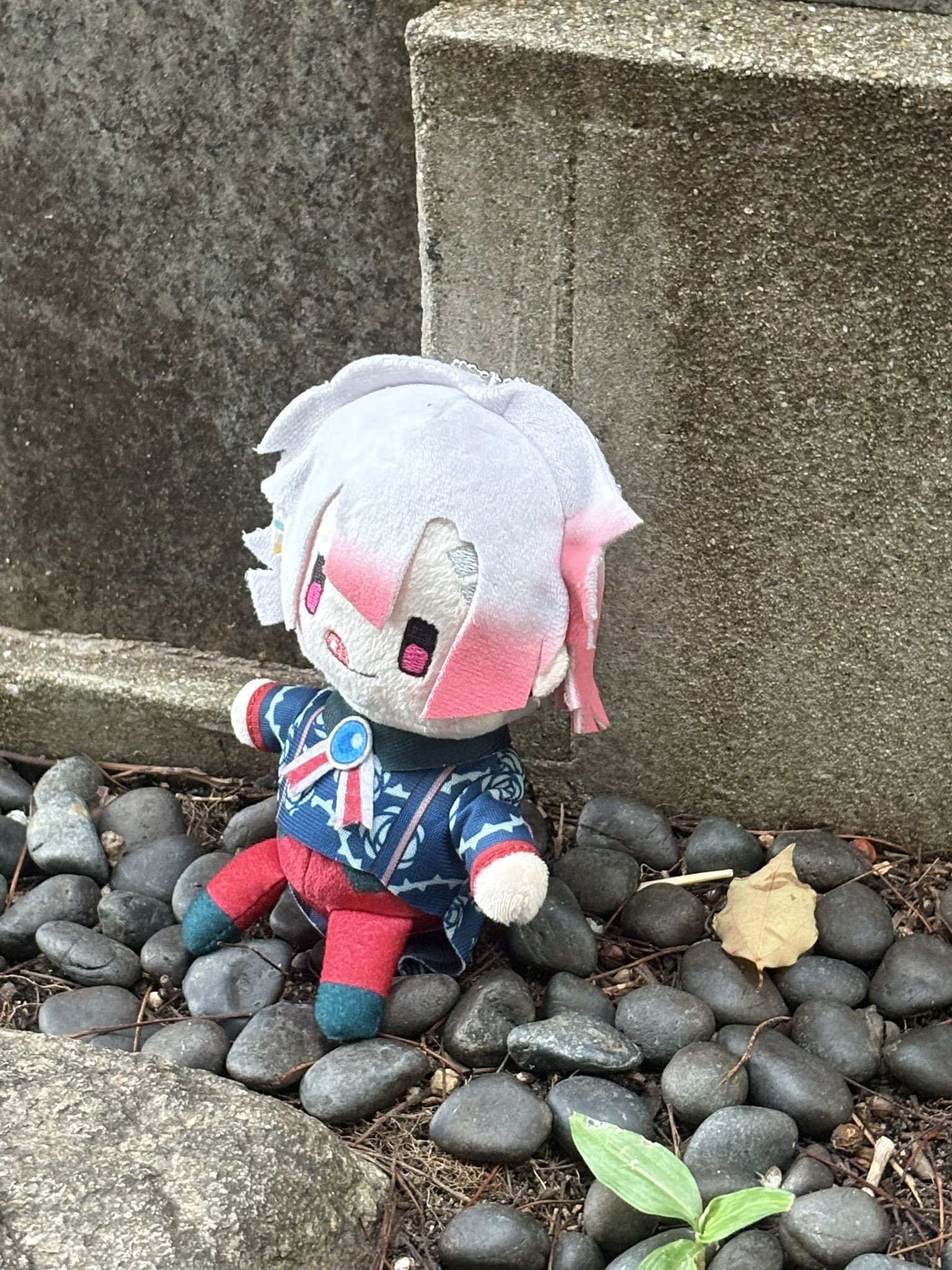 あくねこ K(けい) on X: 