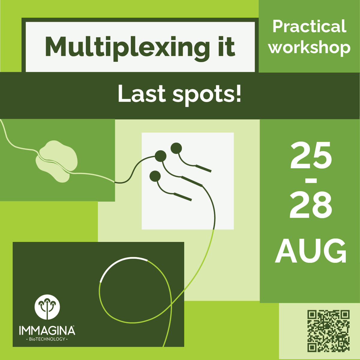 ImmaginaBiotech's tweet image. ☀️ Summer + science = the perfect combo!
Few spots left for our Ribo-Seq Multiplexing Workshop in Italy
🔬 Hands-on training, processing of provided samples & expert insights
⏰ Don’t miss out! Sign up now: zurl.co/S5AHP
#RiboSeq #Workshop #RNA #summerschool