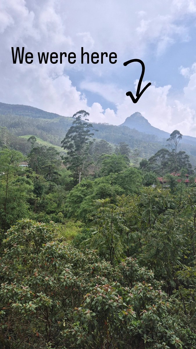 World Challenge at Bolton School Girls' Division tweet media