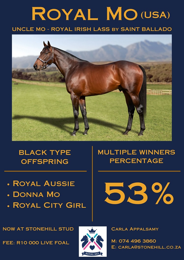Turf Talk (@turftalk1) on Twitter photo Royal Mo The Conduit To Uncle Mo’s Precious Genes turftalk.co.za/royal-mo-the-c… Royal Mo The Conduit To Uncle Mo’s Precious Genes turftalk.co.za/royal-mo-the-c…