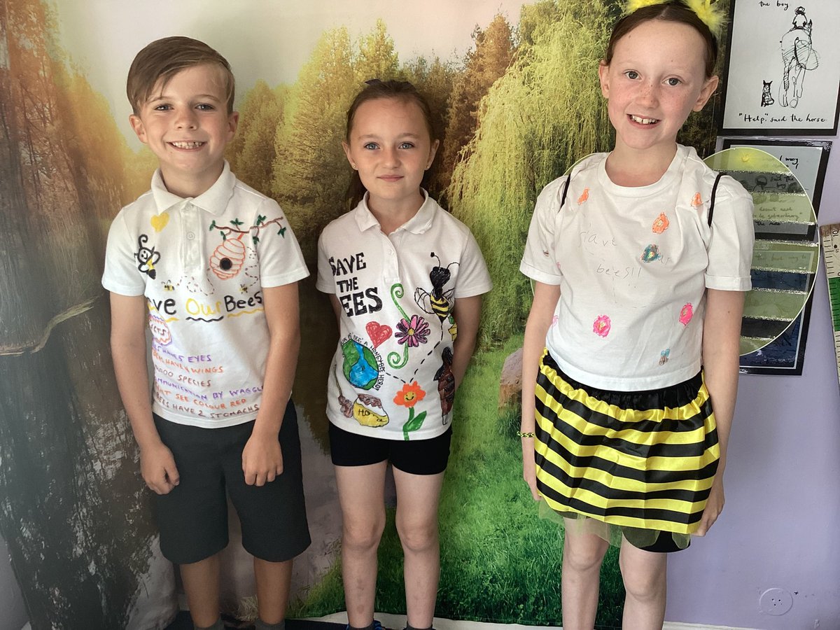 PCP Pandas 🐼 (Year 3) tweet media