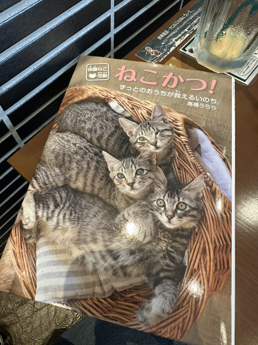 猫の健康おやつneco-ri（ねこり）【公式】 (@Infonecori) / X