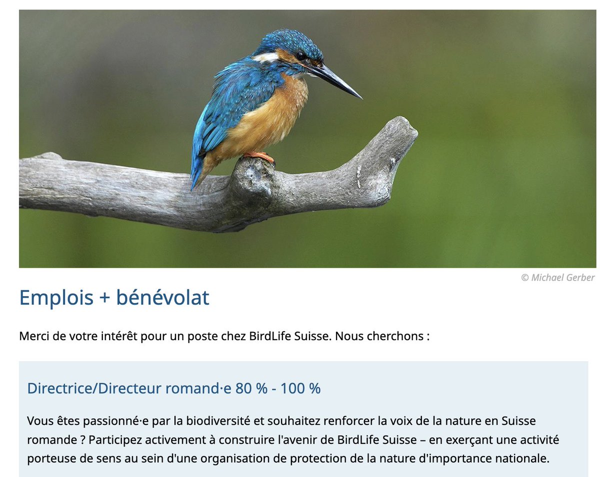 BirdLife Schweiz cerca una direttrice o un direttore per la Svizzera romanda. 
Tutte le informazioni qui birdlife.ch/fr/content/job…