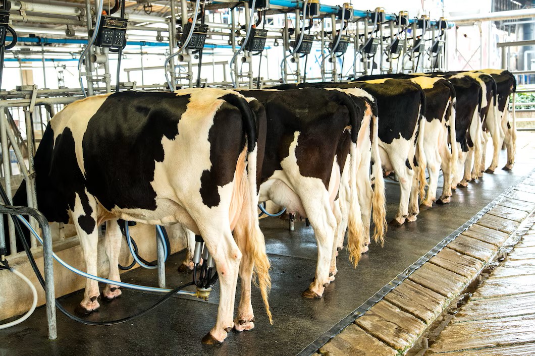 Farmers Mag South Africa tweet media