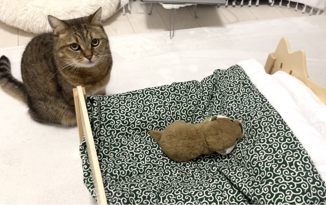 MiniraDiary's tweet image. 自分の寝床を占領する者はぬいぐるみだろうと許さないらしい4コマ