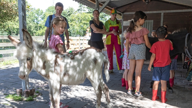 Volop activiteiten op de kinderboerderij tijdens zomervakantie -  goudsepost.nl/l/431355