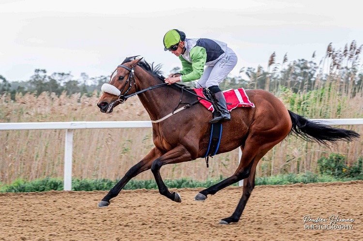 Turf Talk (@turftalk1) on Twitter photo Luna Halo The One To Beat In EC Paddock Stakes turftalk.co.za/luna-halo-the-… Luna Halo The One To Beat In EC Paddock Stakes turftalk.co.za/luna-halo-the-…