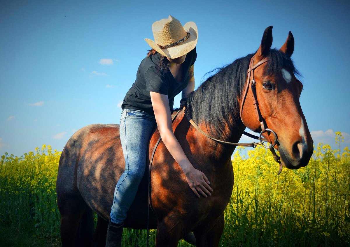 Día Internacional De tweet media