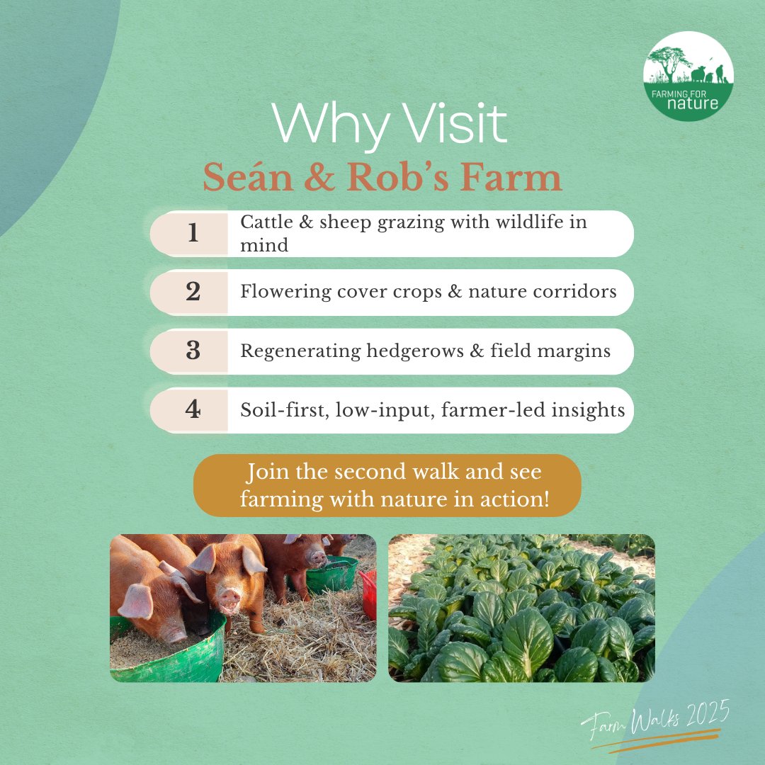 farmfornature's tweet image. 🌿 The first one sold out. Now’s your second chance!
Join Seán & Rob at Knocknarea Farm Walk on July 19 in Strandhill, Co. Sligo 🐑🌾
Soil, biodiversity & real farmer-led learning.
🎟️ €12 · Limited spots → tickettailor.com/events/farming…
#FarmWalks2025 #FarmingForNature