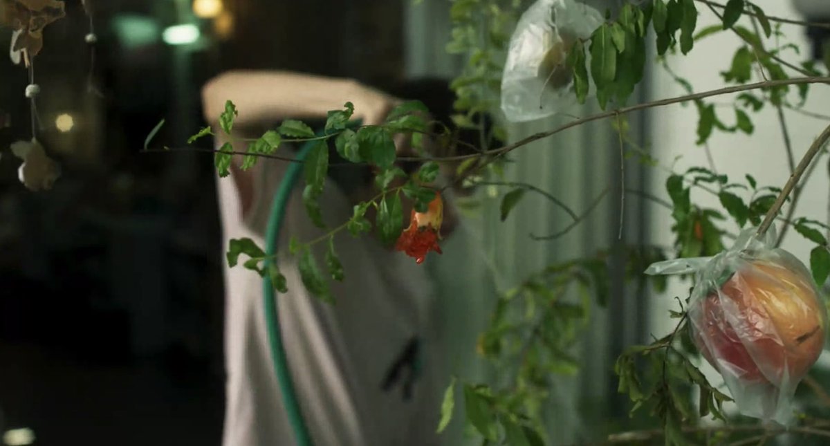 jaeyfilm's tweet image. How to Make Millions Before Grandma Dies (2024)
dir. Pat Boonnitipat