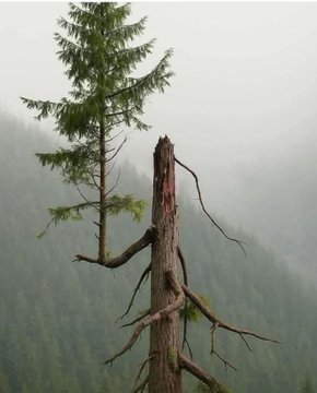 Ghantu (@theghantu) on Twitter photo рдЯреВрдЯрд╛ рд╣реИ рддрдирд╛, рдлрд┐рд░ рднреА рдбрд╛рд▓ рд╣рд░реА рд╣реЛ рдЧрдИ,
рдЬрд╝рд┐рдВрджрдЧреА рд╣рд╛рд░ рдХрд░ рднреА рдХрд┐рддрдиреА рдЦрд░реА рд╣реЛ рдЧрдИред
рдореБрдХрд╝рд╛рдо рд╡рд╣реА рд╣реИ рдЬрд╣рд╛рдБ рдард╣рд░рд╛ рдерд╛ рд╕рдлрд╝рд░ рдХрднреА,
рдордЧрд░ рджреЗрдЦ, рдЙрд╕реА рдкрд░ рдирдИ рдбрдЧрд░ рдЬрд╛рд░реА рд╣реЛ рдЧрдИред
#Motivation
#lifeisgood рдЯреВрдЯрд╛ рд╣реИ рддрдирд╛, рдлрд┐рд░ рднреА рдбрд╛рд▓ рд╣рд░реА рд╣реЛ рдЧрдИ,
рдЬрд╝рд┐рдВрджрдЧреА рд╣рд╛рд░ рдХрд░ рднреА рдХрд┐рддрдиреА рдЦрд░реА рд╣реЛ рдЧрдИред
рдореБрдХрд╝рд╛рдо рд╡рд╣реА рд╣реИ рдЬрд╣рд╛рдБ рдард╣рд░рд╛ рдерд╛ рд╕рдлрд╝рд░ рдХрднреА,
рдордЧрд░ рджреЗрдЦ, рдЙрд╕реА рдкрд░ рдирдИ рдбрдЧрд░ рдЬрд╛рд░реА рд╣реЛ рдЧрдИред
#Motivation
#lifeisgood