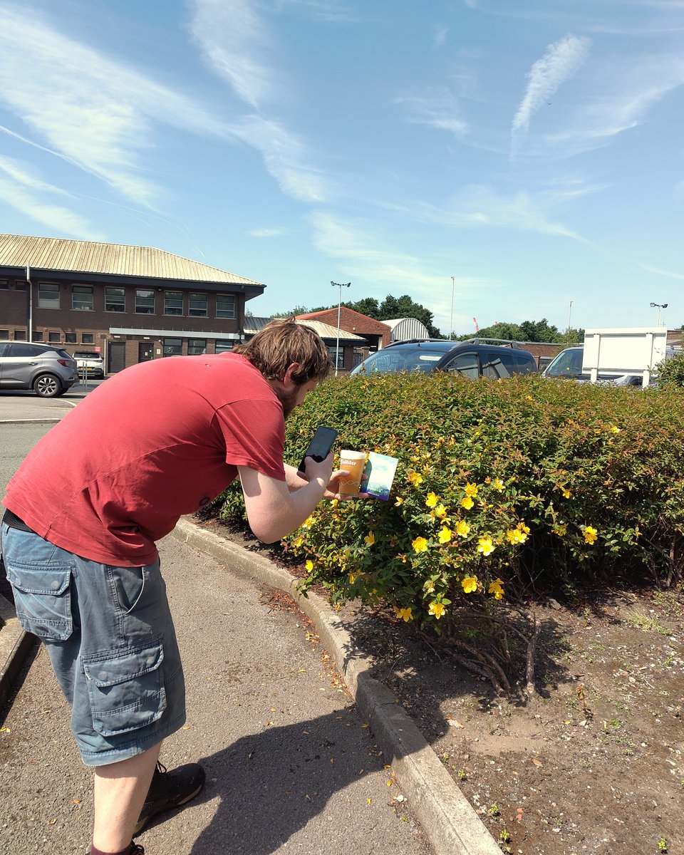Colbierbrewco's tweet image. When you try to get a photogenic beer pic, and your industrial estate has one bush... 🌻
Folk is so hoppy and dank, it really is everything we wanted from our latest pale 🍻
#hazybeer #craftbeer #beerstagram #ukhops #sessionable #bush #ProperSoundBeers