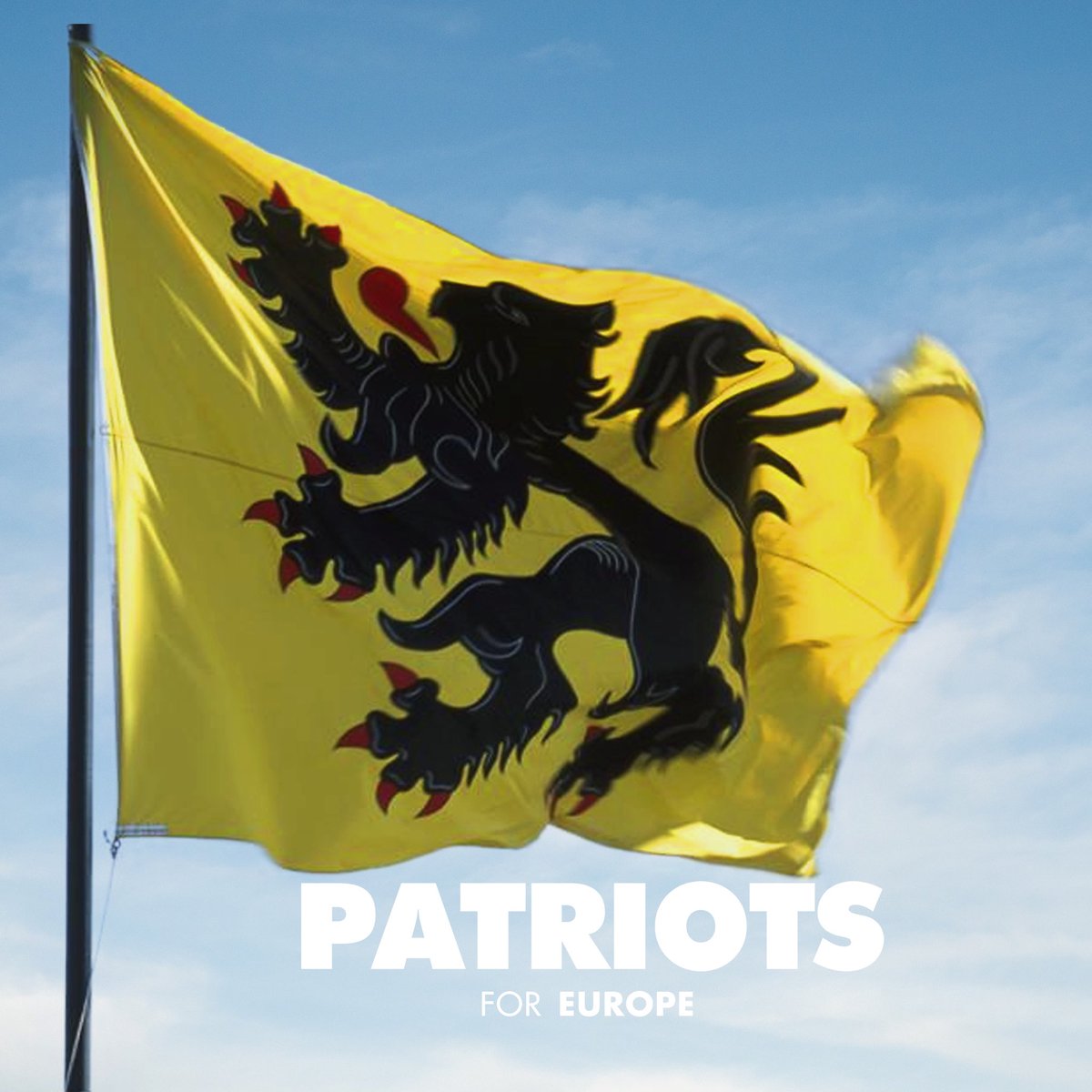PatriotsEP's tweet image. 🦁 | Happy Holiday of the Flemish Community! Gelukkige vlaamse feestdag! #11juli