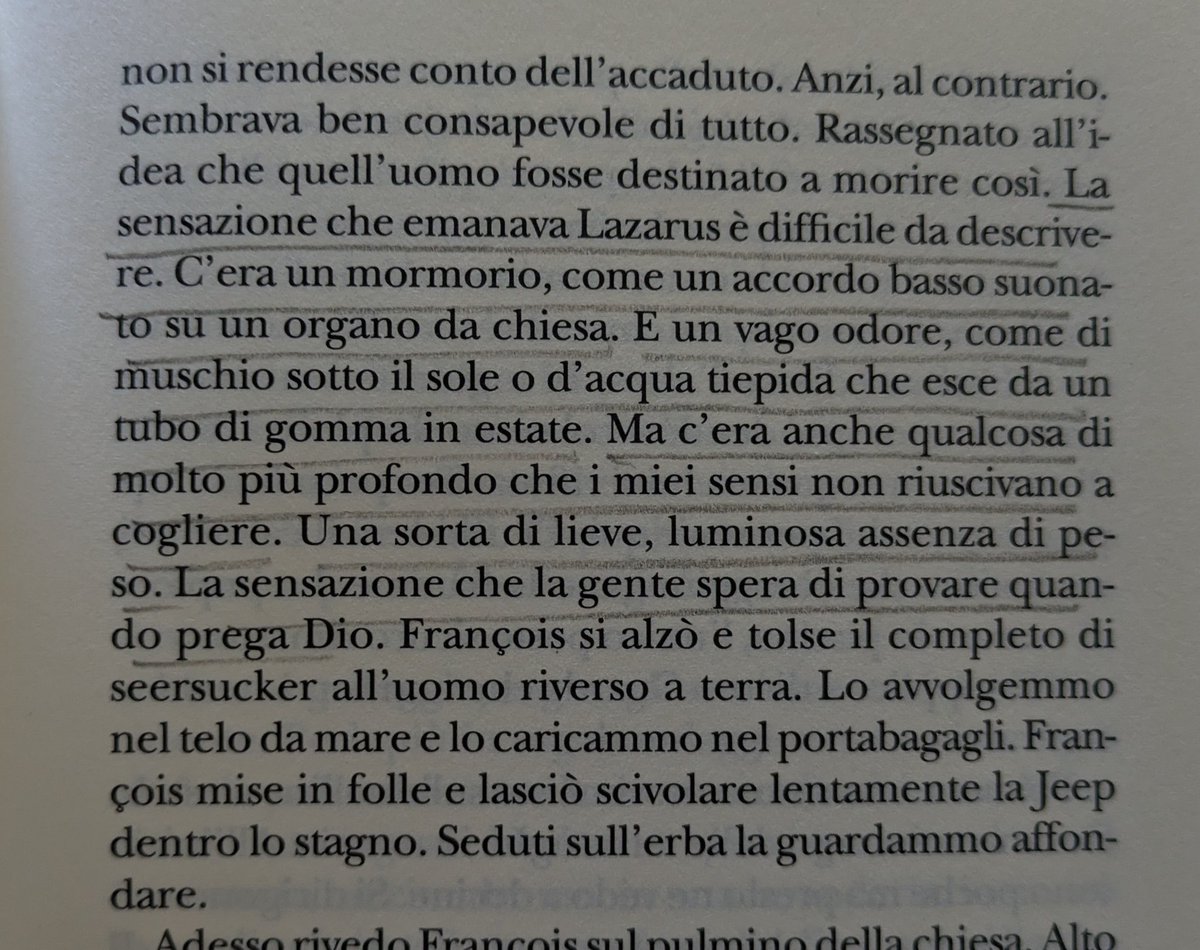 Presenze 🪄
(Michael Bible, Goodbye Hotel)