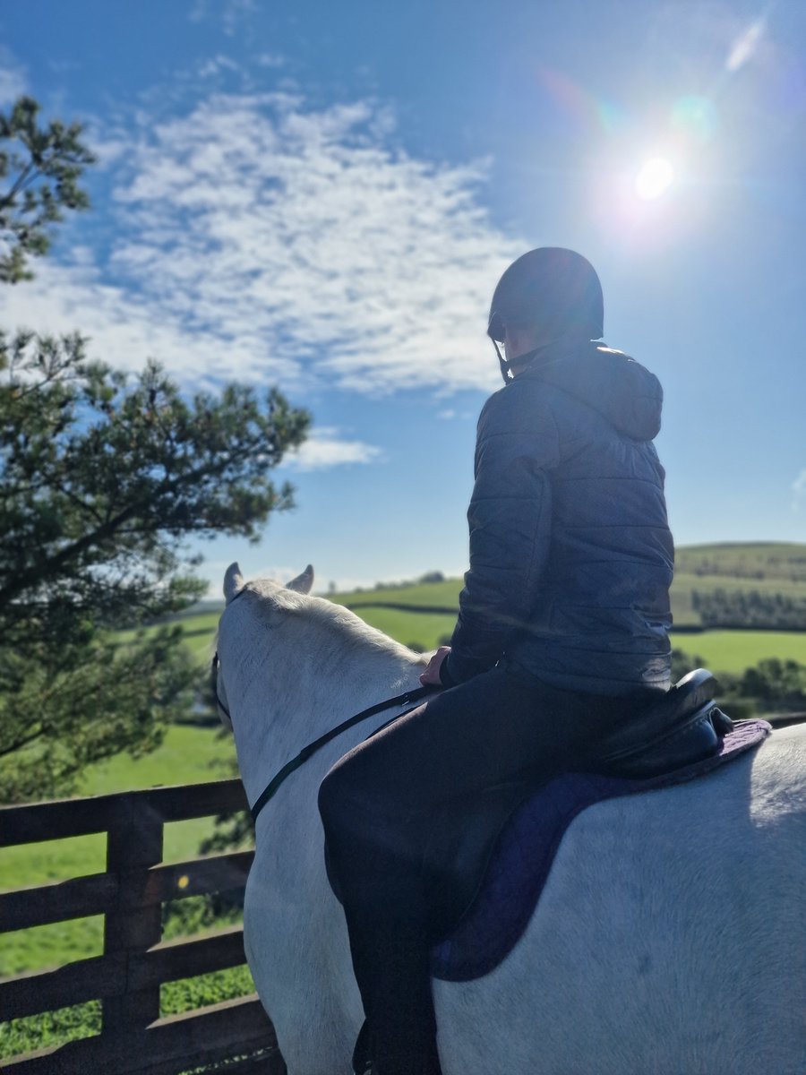 Stable Life tweet media