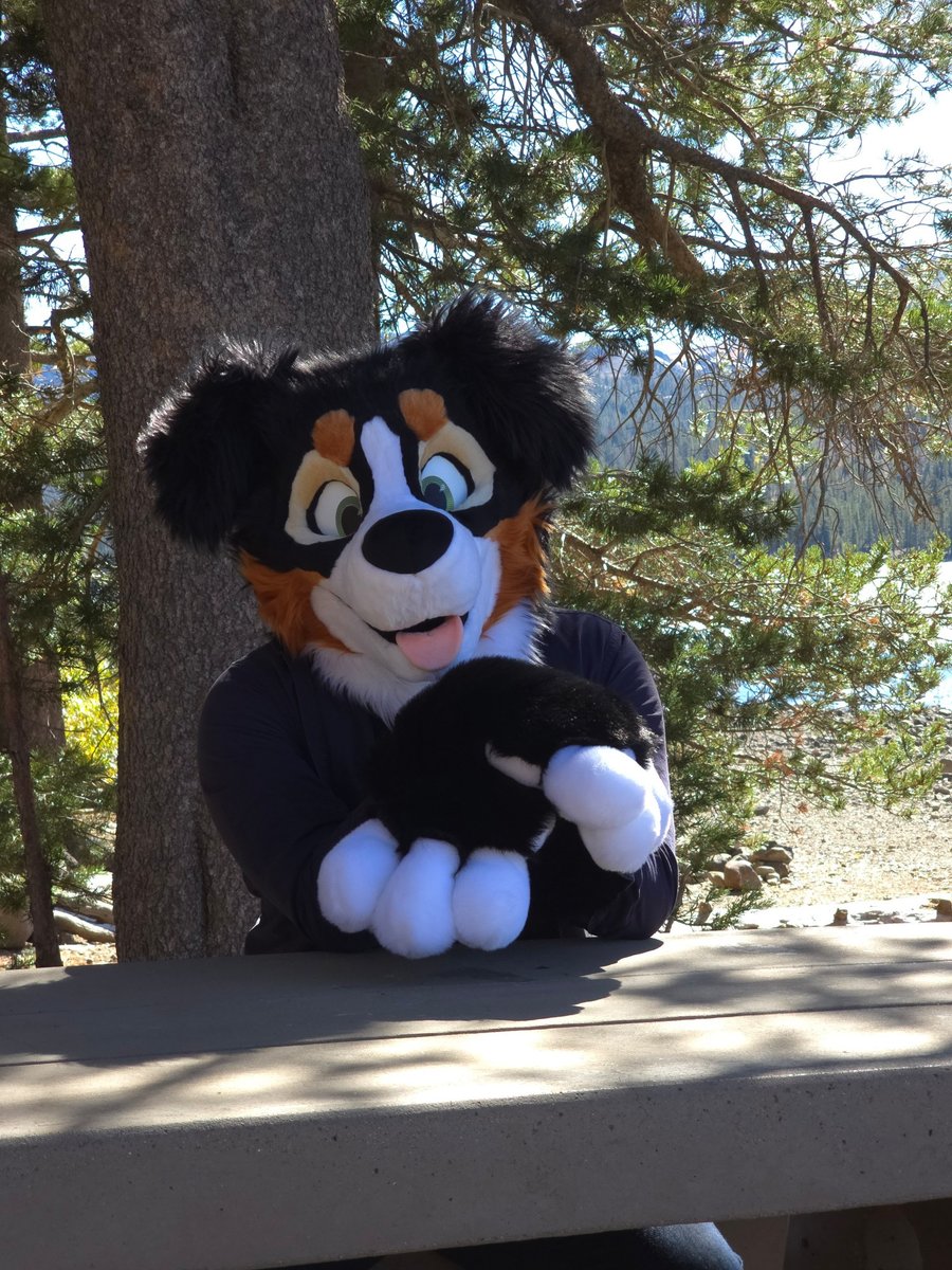 Mind joining me for some lunch on such a nice day!

#FursuitFriday