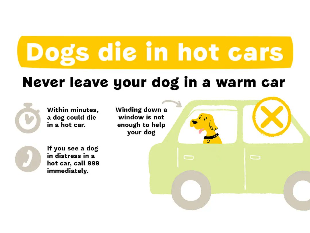 DogsTrust_IE's tweet image. Please NEVER leave a dog alone in a hot car. On a 22-degree Celsius day, the temperature inside your car can rise by 11 degrees in just 10 minutes!
Dogs cannot cope with this kind of heat and it can be fatal to them.
For more see: DogsTrust.ie/Summer