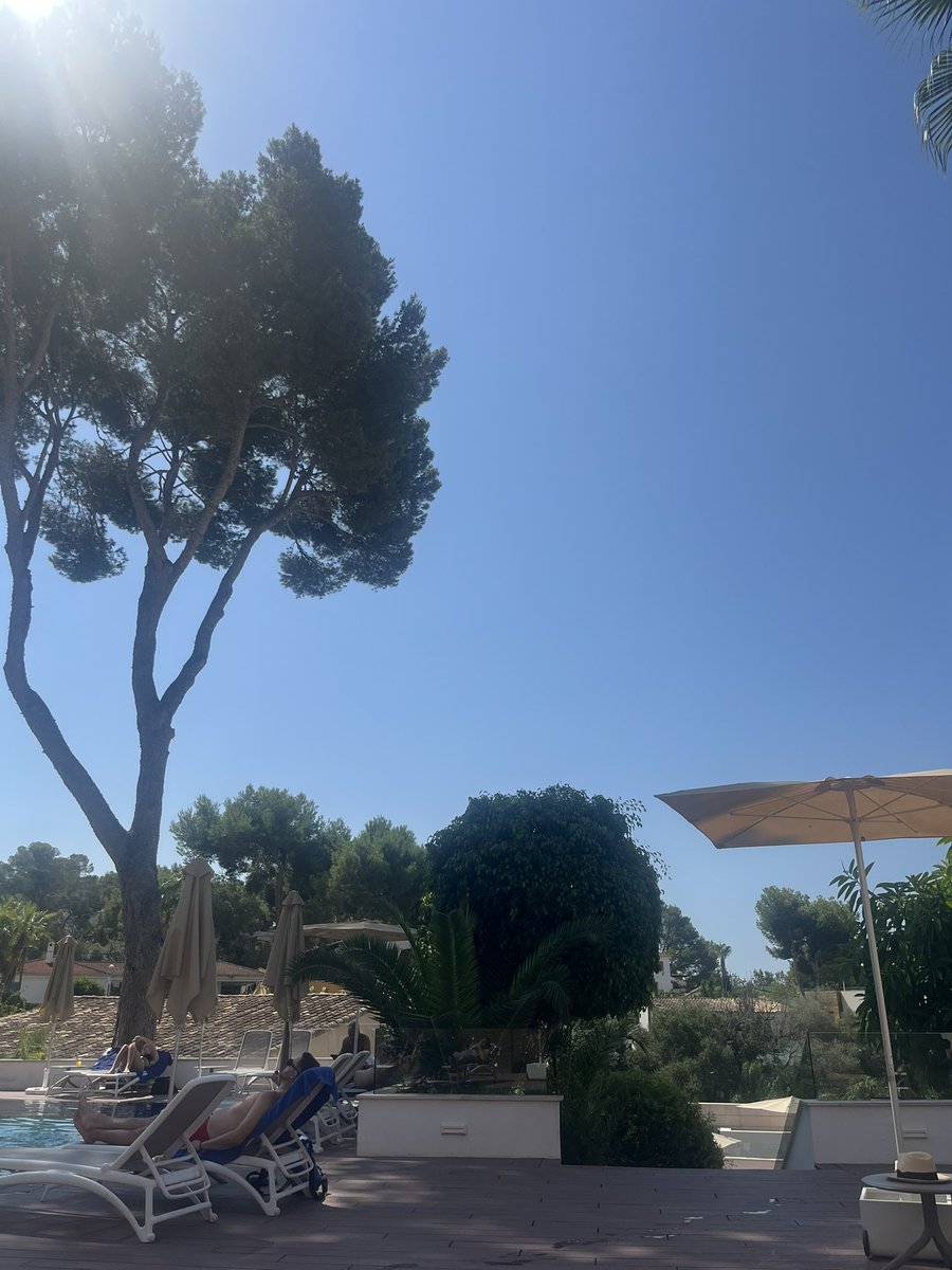 Blue skies in Mallorca… started the day with a run followed by reviewing an exciting new client brief that’s just landed! 😎🙌