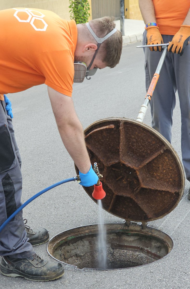 🚫🐀 Bollullos actúa contra cucarachas y roedores 🐀🚫

📆El Ayuntamiento ha realizado, del 8 al 11 de julio, un tratamiento integral de control de plagas en las arquetas de las calles del municipio.

#BollullosPorElMedioAmbiente