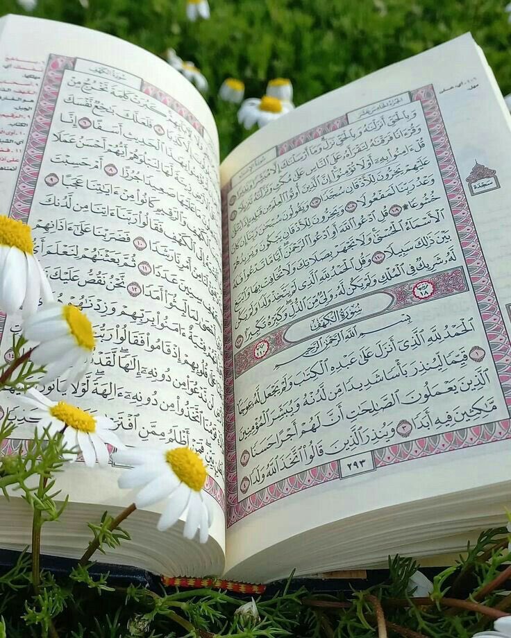 741Norah's tweet photo. أحب محمدًا حبًا
وحسبي بأن المرء
مع من أحب..ﷺ 
كل المدائح والمحامد تبتغي شرف الوقوف على جناب المصطفى ، صلى عليك الله يا عَلم الهدى وعلى الصحاب ومن أطاعك واقتفى.

صلوا علىٰ من بكى شوقاً لرؤيتنا https://t.co/PiDVIG20iY