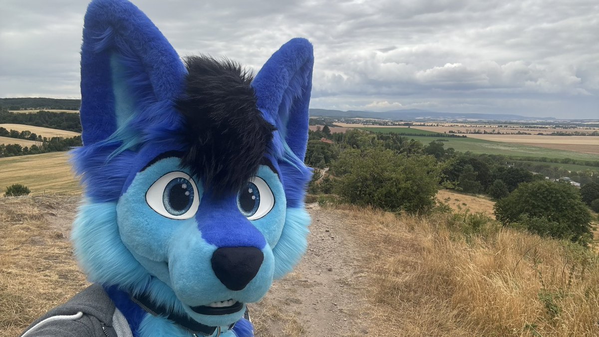 Floofy The Wuff (@lonelywolf37007) on Twitter photo Happy #FursuitFriday :3
I went for a walk recently and it was fun doing some pictures with my suit x3
🪡 <a href="/whitewingsuits/">Whitewing Creations</a>
#furry #furryfandom #fursuit #fursuiter #harz #wolf Happy #FursuitFriday :3
I went for a walk recently and it was fun doing some pictures with my suit x3
🪡 <a href="/whitewingsuits/">Whitewing Creations</a>
#furry #furryfandom #fursuit #fursuiter #harz #wolf