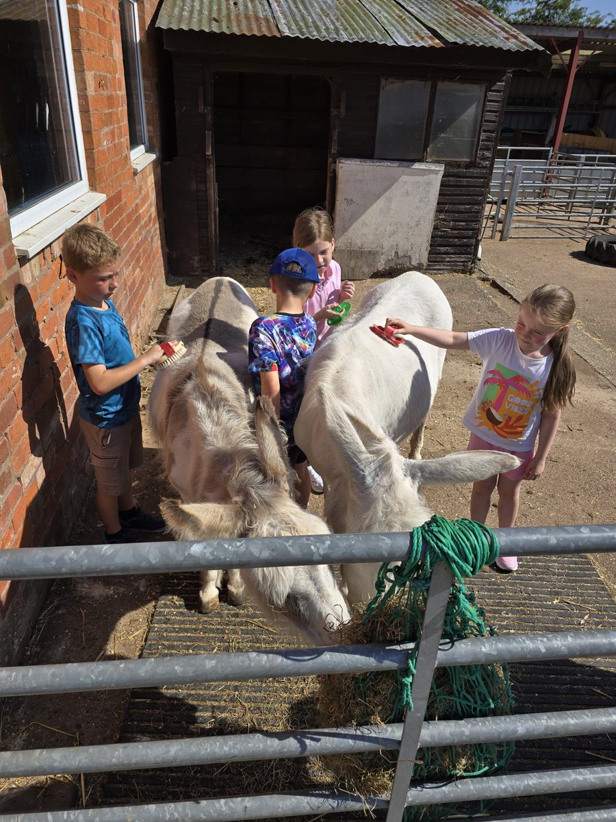 Another lovely morning at Dodford and we're looking forward to seeing all of our parents and carers at the normal collection time from the school hall.