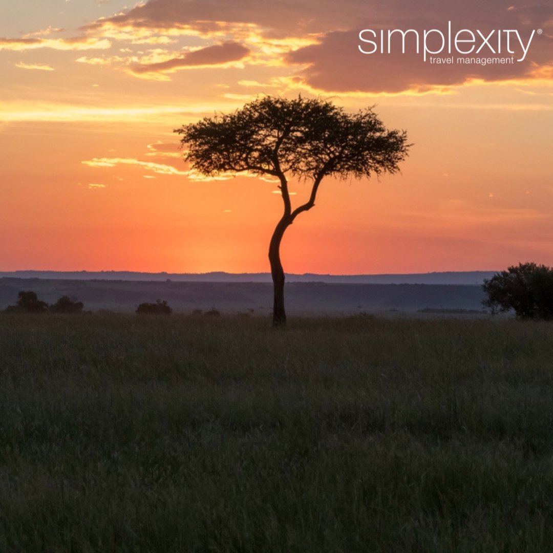 SimplexityTM's tweet image. Witness one of the world’s greatest wildlife spectacles in Kenya’s Masai Mara.
By late July, the Great Migration begins – millions of animals crossing into Kenya, with dramatic river moments best seen from exclusive safari camps.
Definitely one for your bucket list!