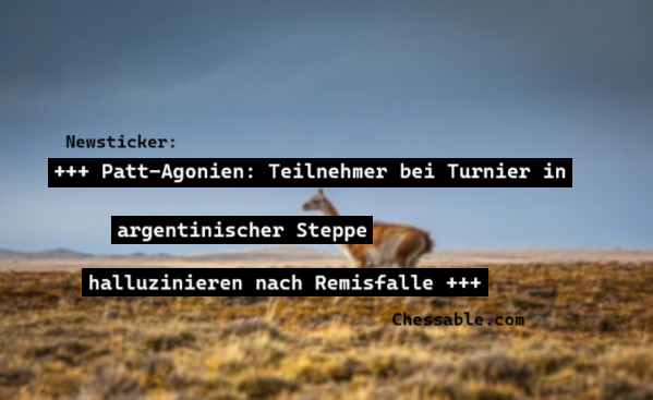 Chessable Deutsch tweet media