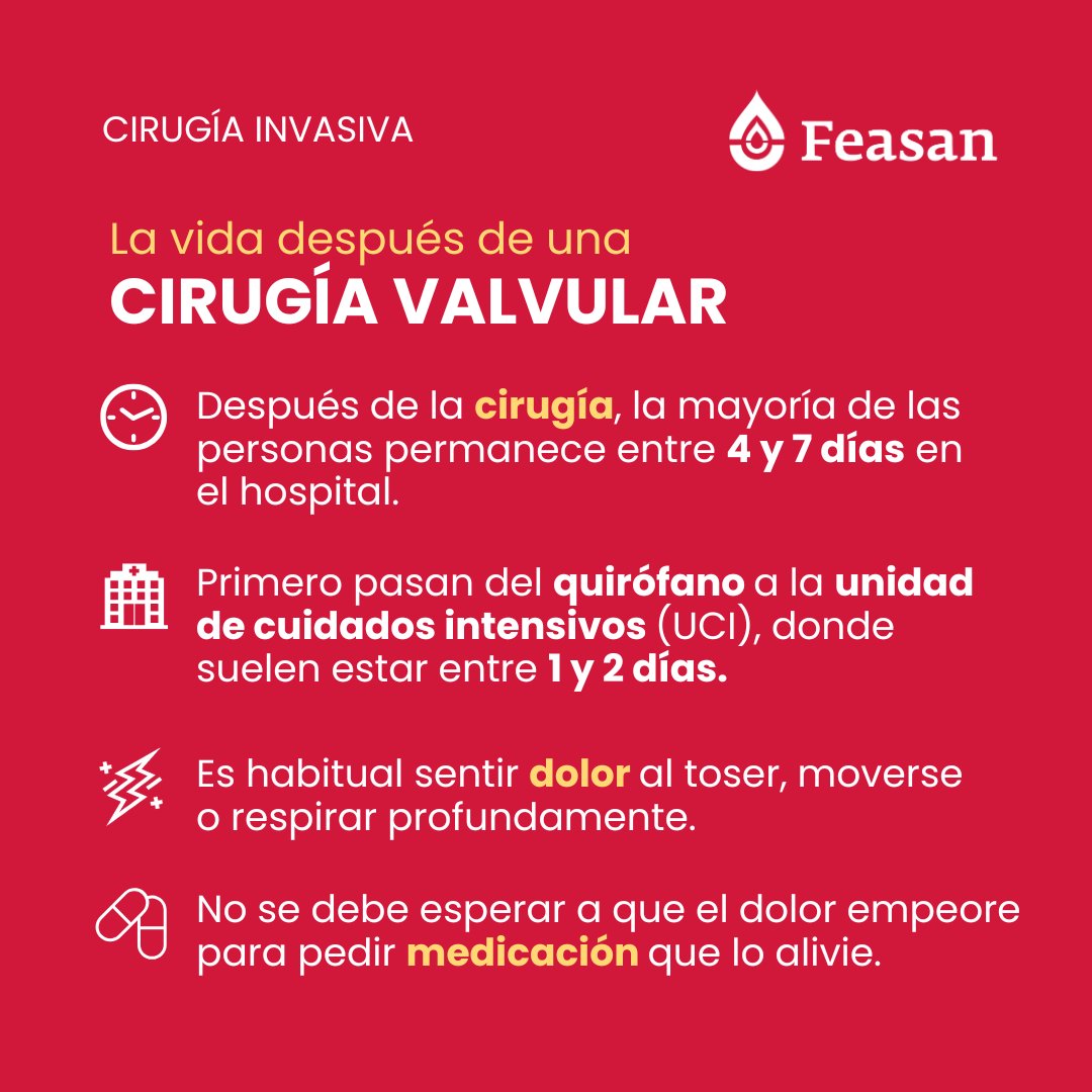 FEASAN_'s tweet photo. ❤️ La vida después de una cirugía valvular.

Hoy hablamos sobre la cirugía valvular a corazón abierto, una intervención invasiva en la que se realiza una gran incisión en el pecho para acceder al corazón.

🔗 Accede a la guía aquí: https://t.co/RQ3LOZLTsF

#CirugíaValvular https://t.co/hxJruDJ7Gx