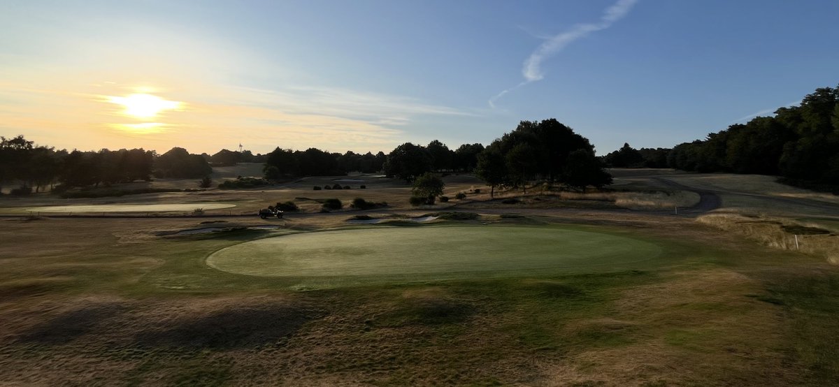 sam wardill tweet media