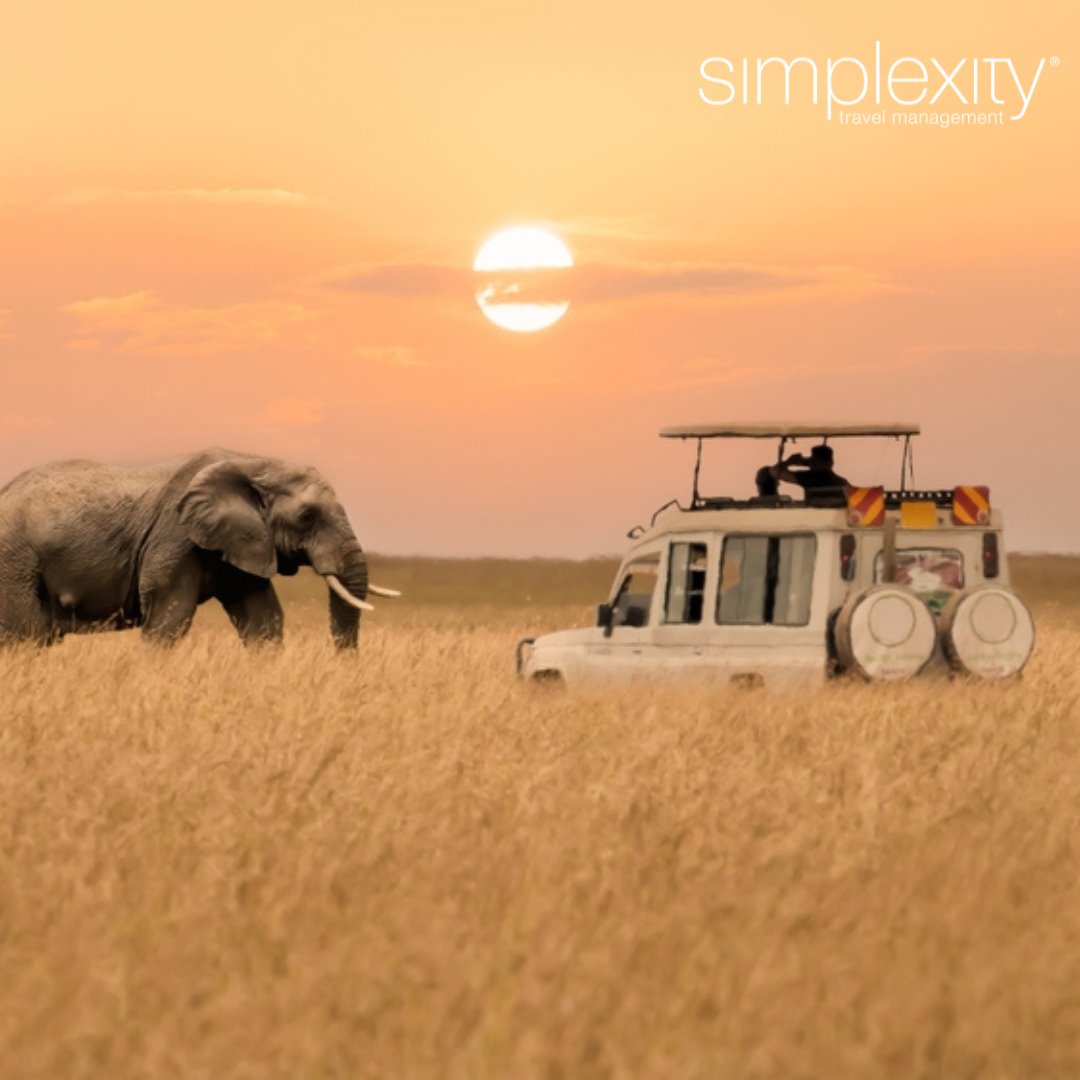 SimplexityTM's tweet image. Witness one of the world’s greatest wildlife spectacles in Kenya’s Masai Mara.
By late July, the Great Migration begins – millions of animals crossing into Kenya, with dramatic river moments best seen from exclusive safari camps.
Definitely one for your bucket list!