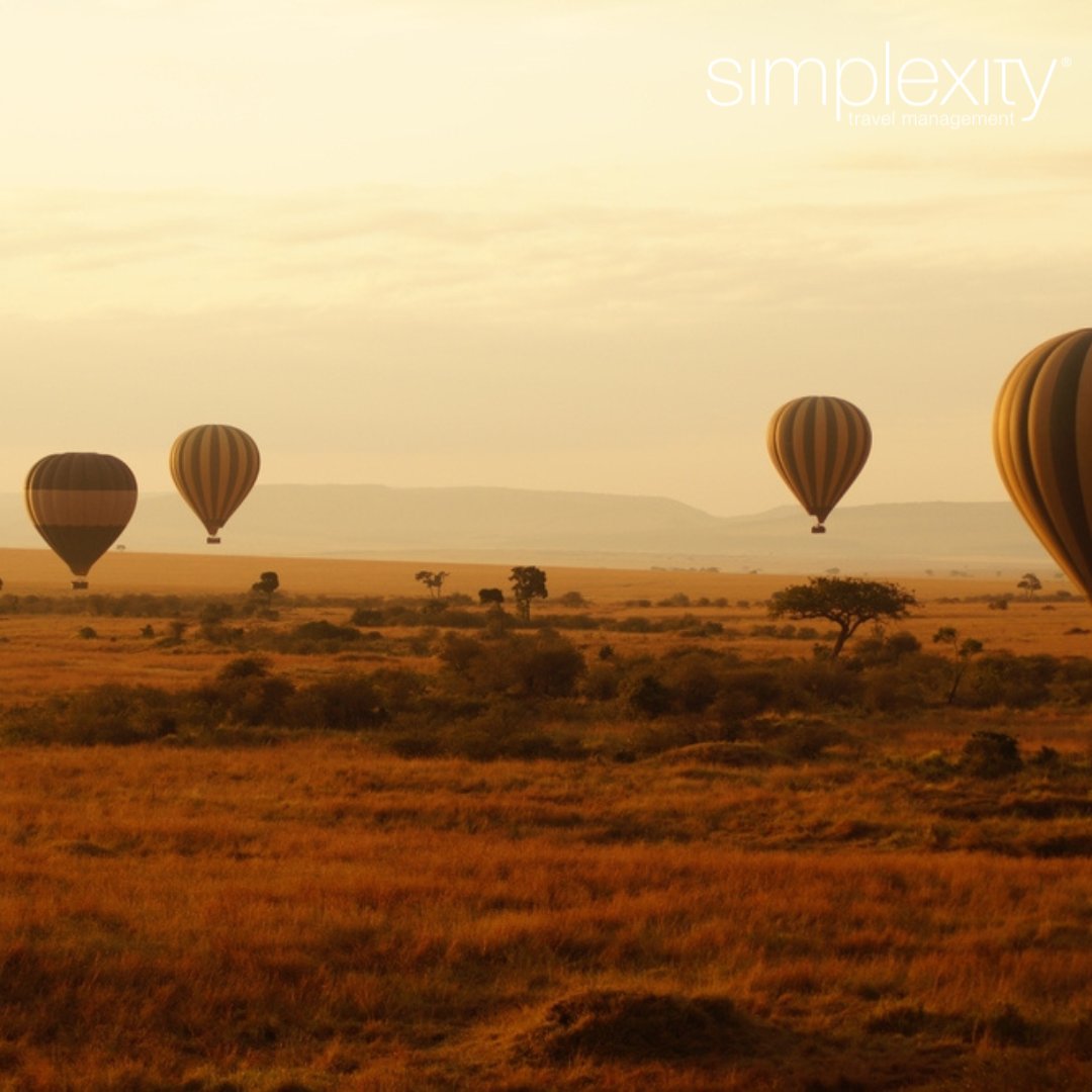 SimplexityTM's tweet image. Witness one of the world’s greatest wildlife spectacles in Kenya’s Masai Mara.
By late July, the Great Migration begins – millions of animals crossing into Kenya, with dramatic river moments best seen from exclusive safari camps.
Definitely one for your bucket list!