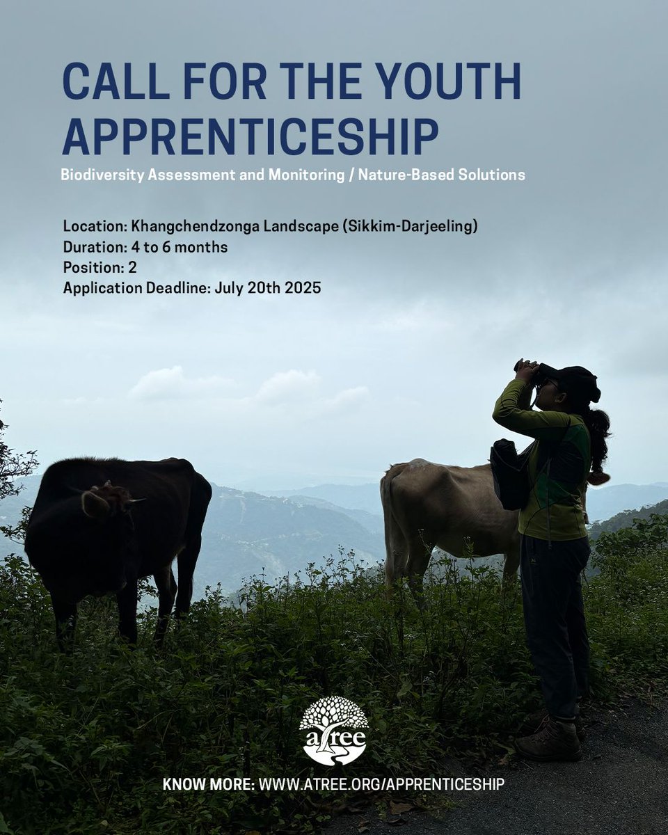 Join ATREE's AMP-Himalaya apprenticeship for hands-on ecological research in the stunning Khangchendzonga Landscape! 

📍 Sikkim-Darjeeling  ⏳ 4-6 months  👥 2 positions  🗓️ Deadline: July 20, 2025  

Apply now: atree.org/apprenticeship