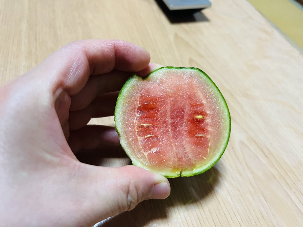 hagipyong's tweet image. こだま…裂け目が💦
でも甘い🤩
残りの実は大きく育つと良いな